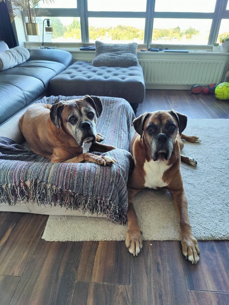 Eric and Ariel relaxing together at home