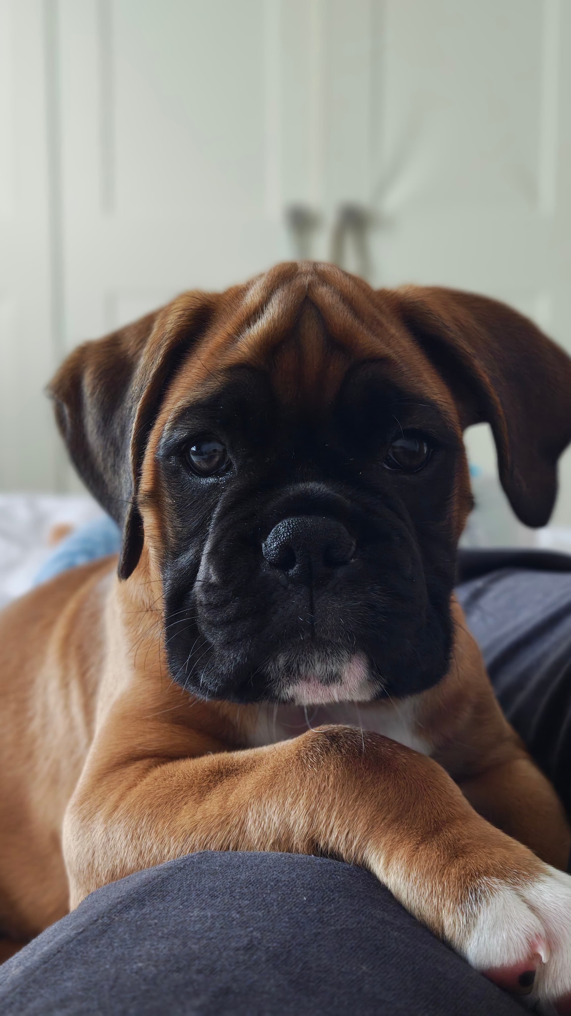 IMG 20260820 163947882 HDR PORTRAIT