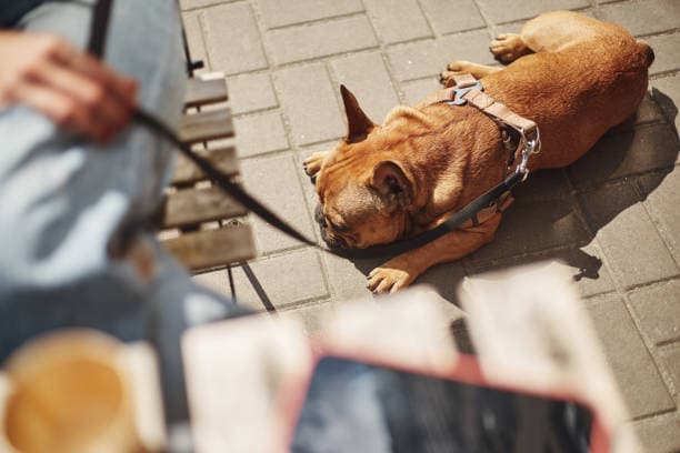 istockphoto 1485668400 612x612